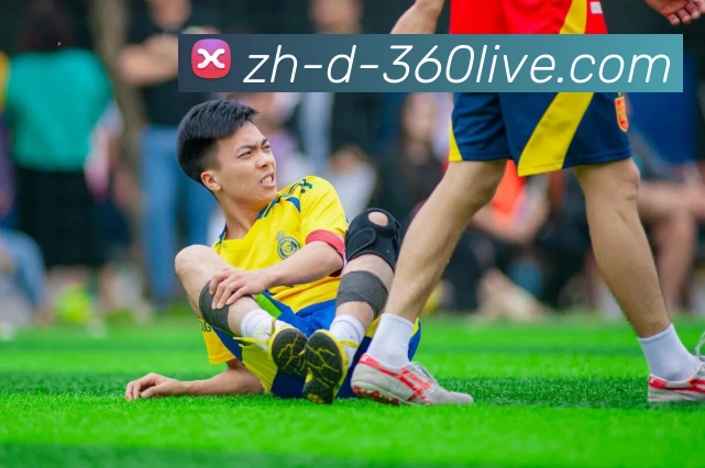 App Interface Preview